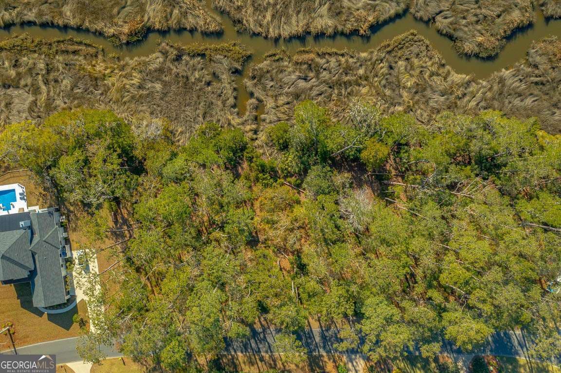 unimproved land for sale at 119 Rice Mill, St. Simons, GA 31522 — photo 7