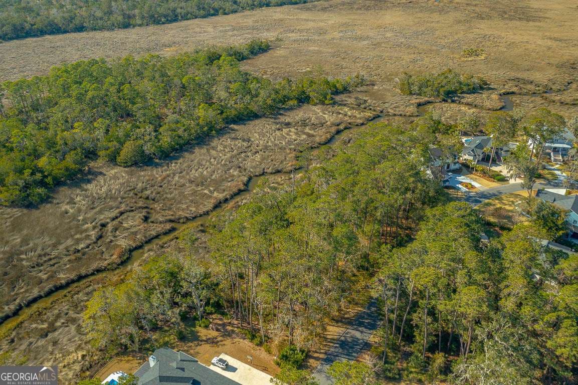 unimproved land for sale at 119 Rice Mill, St. Simons, GA 31522 — photo 3