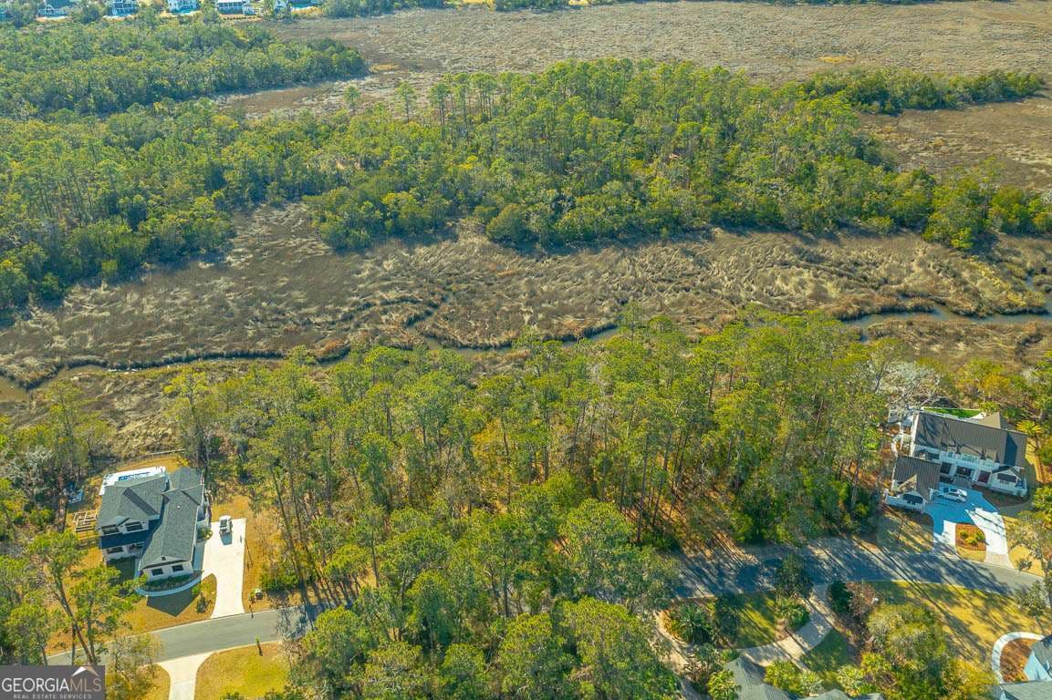 unimproved land for sale at 119 Rice Mill, St. Simons, GA 31522 — photo 5