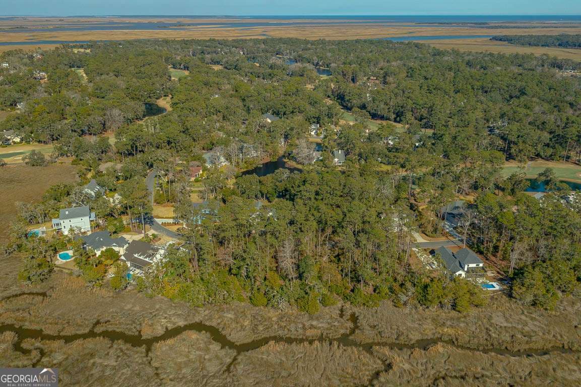 unimproved land for sale at 119 Rice Mill, St. Simons, GA 31522 — photo 9