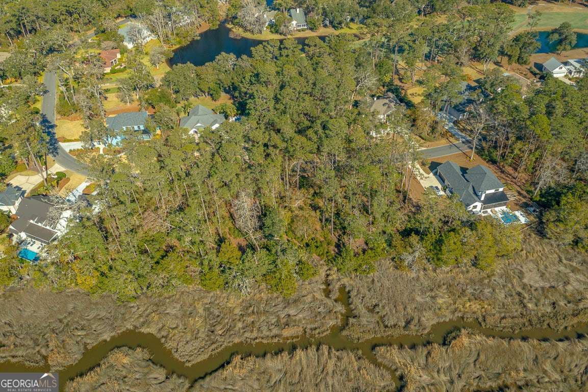 unimproved land for sale at 119 Rice Mill, St. Simons, GA 31522 — photo 8