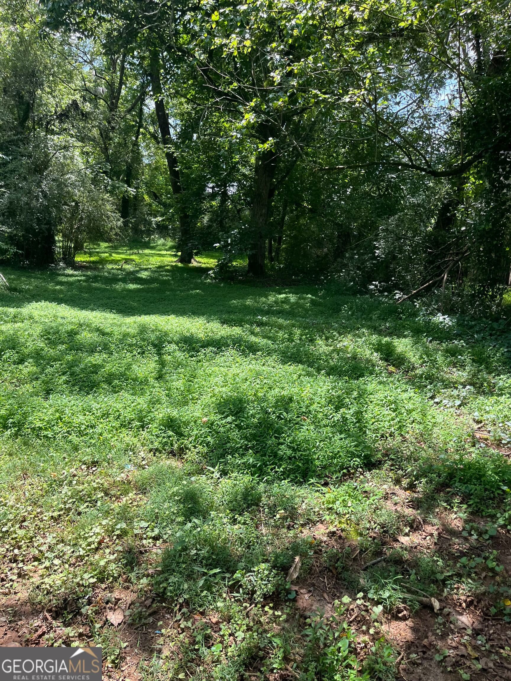 3 bedroom, 2 bathroom, 4,018 sq ft single family residence for sale at 506 GRANT Street, Clarkesville, GA 30523 — photo 5