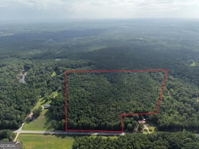 unimproved land for sale at 2250 W Highway 220, Lincolnton, GA 30817 — photo 2