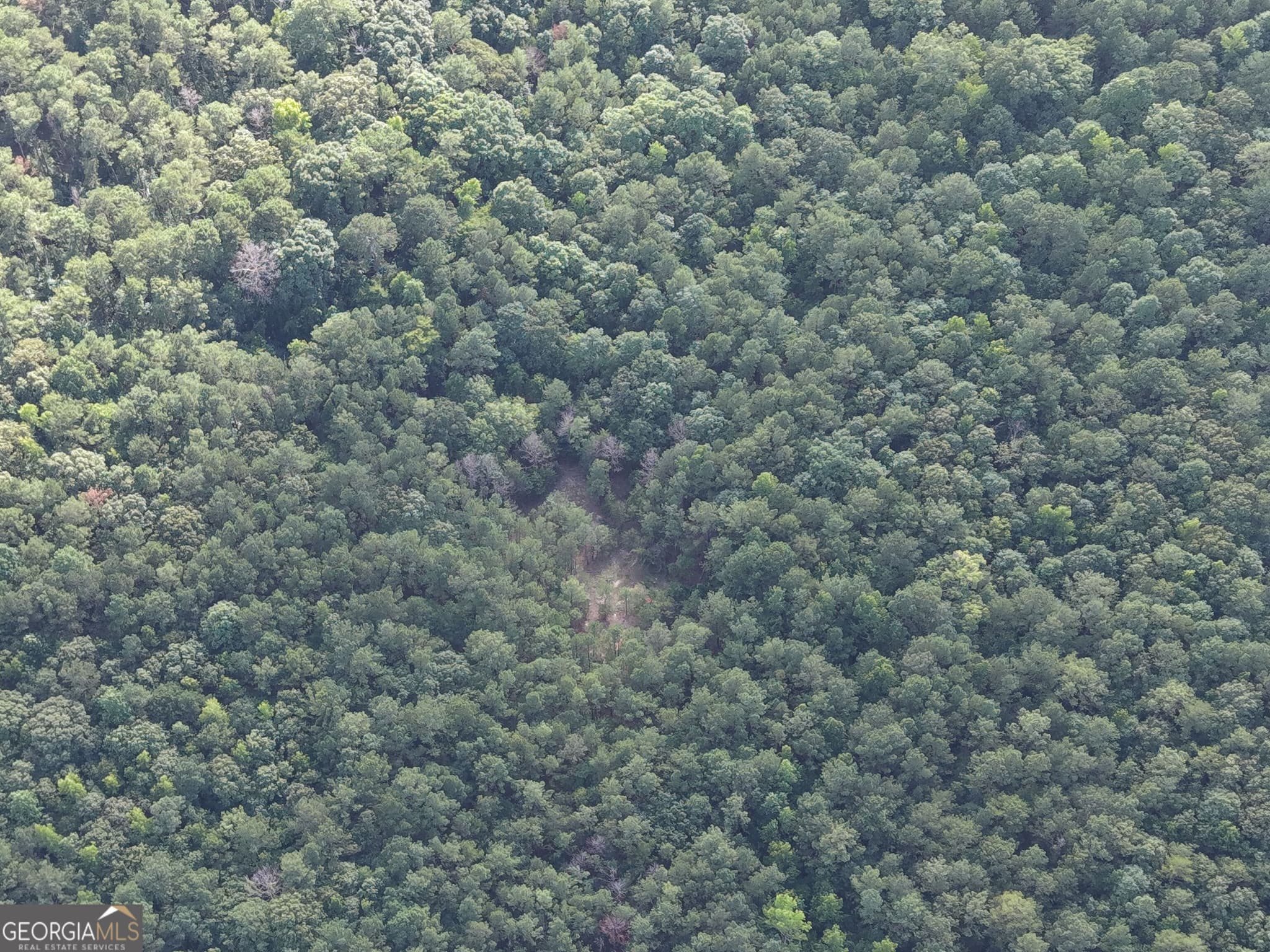 unimproved land for sale at 2250 W Highway 220, Lincolnton, GA 30817 — photo 6
