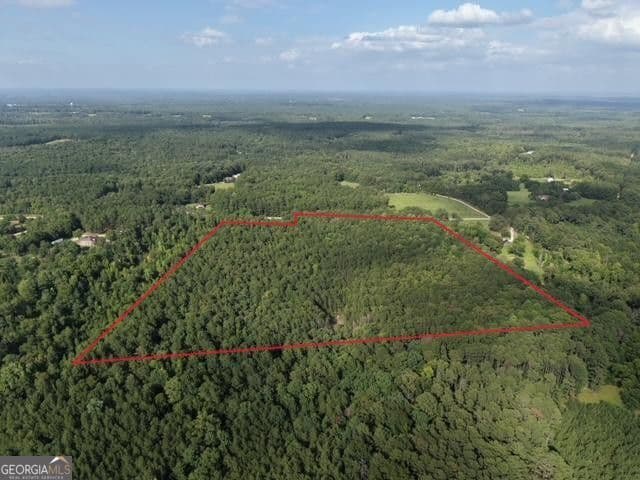 unimproved land for sale at 2250 W Highway 220, Lincolnton, GA 30817 — photo 3