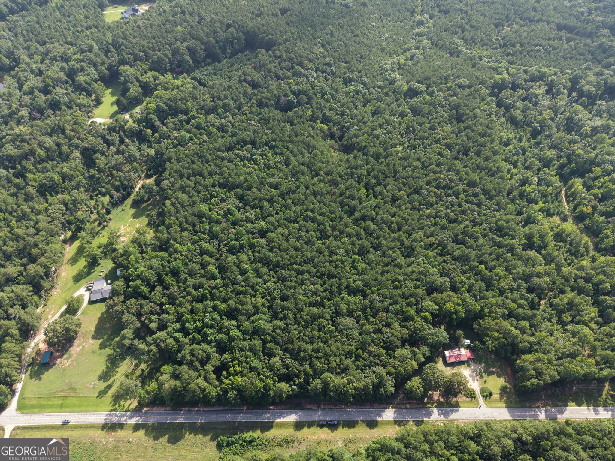 unimproved land for sale at 2250 W Highway 220, Lincolnton, GA 30817 — photo 5