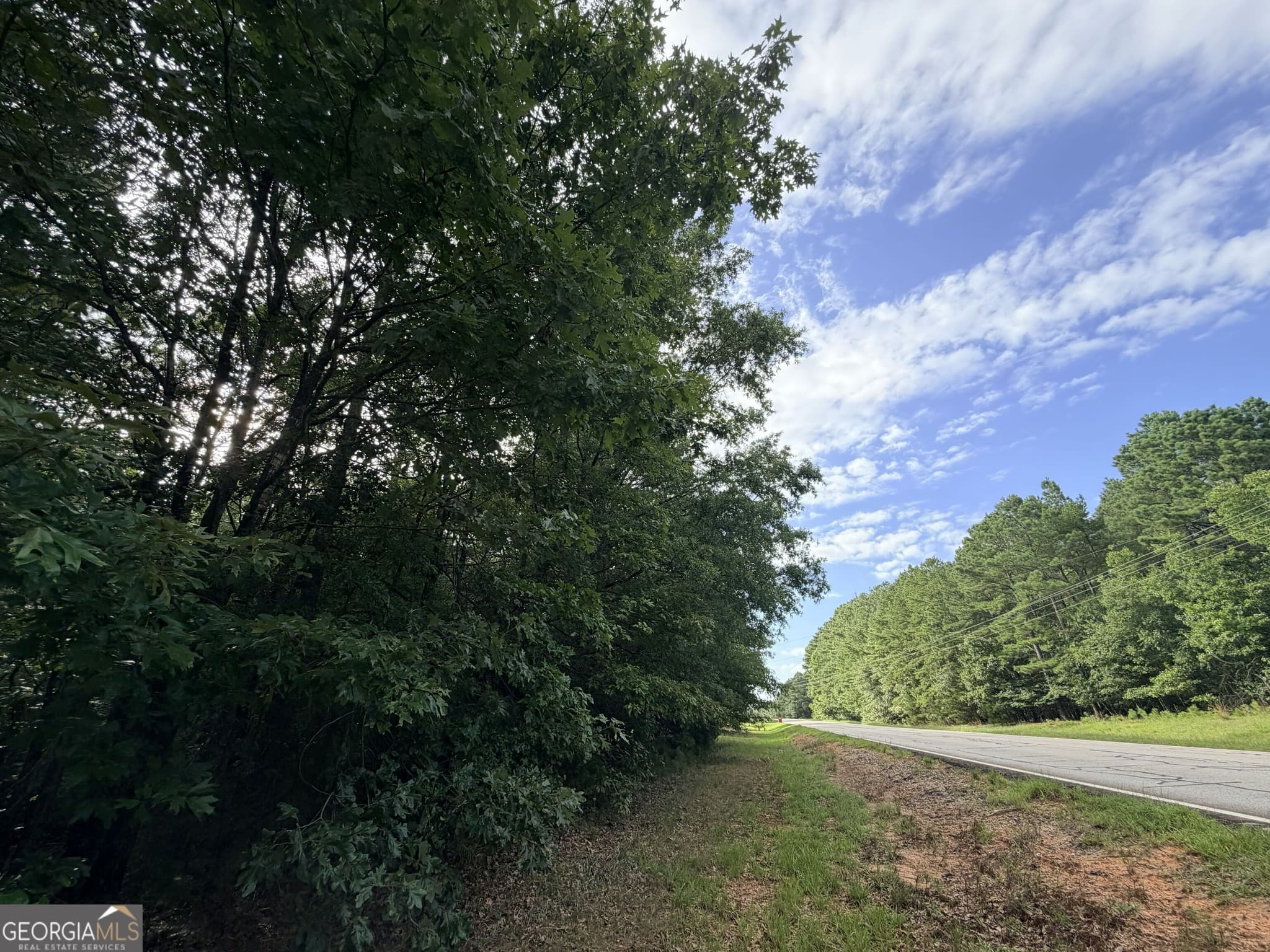 unimproved land for sale at 2250 W Highway 220, Lincolnton, GA 30817 — photo 9