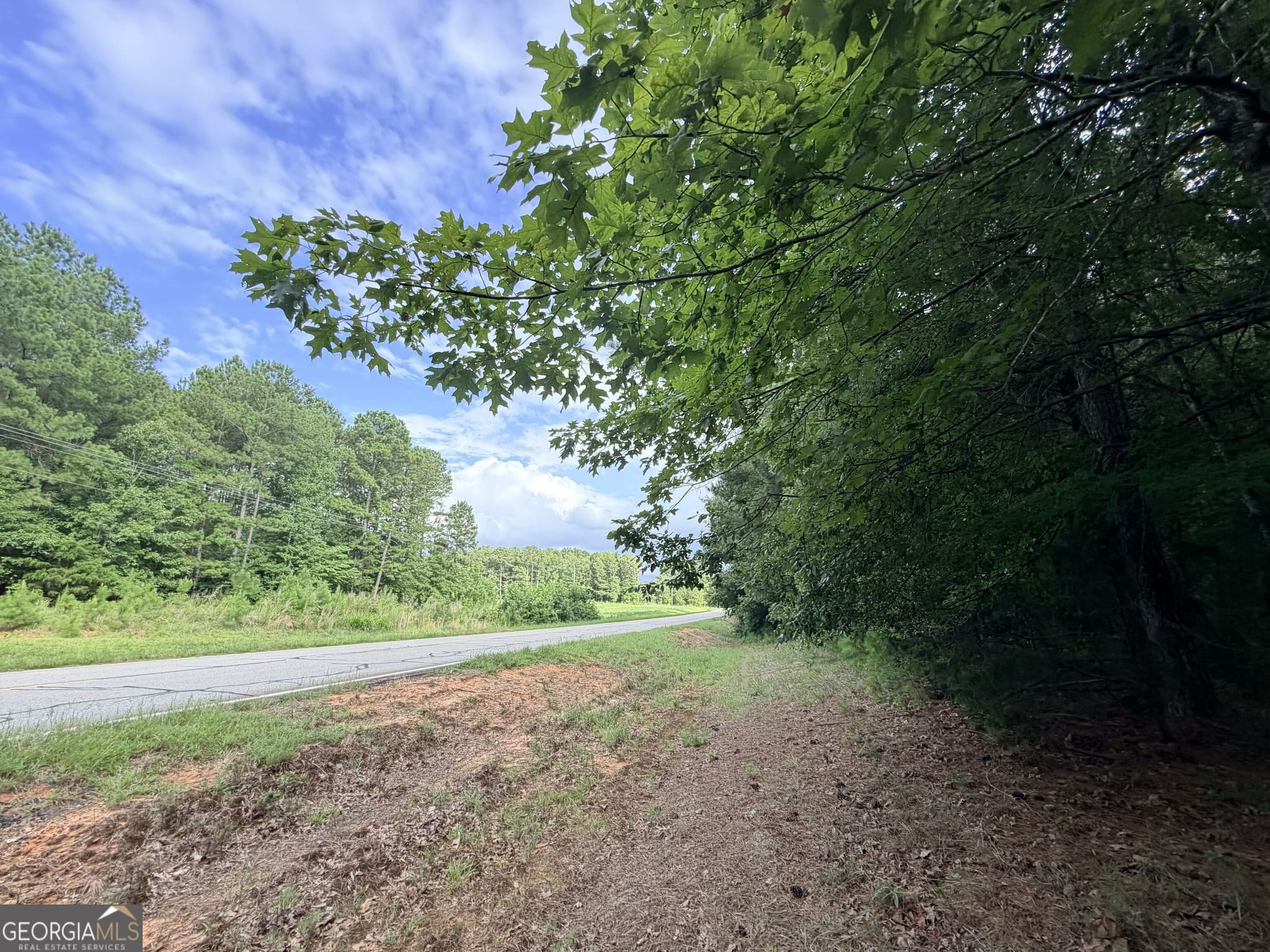 unimproved land for sale at 2250 W Highway 220, Lincolnton, GA 30817 — photo 10