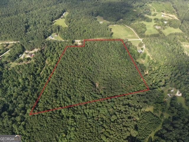 unimproved land for sale at 2250 W Highway 220, Lincolnton, GA 30817 — photo 4