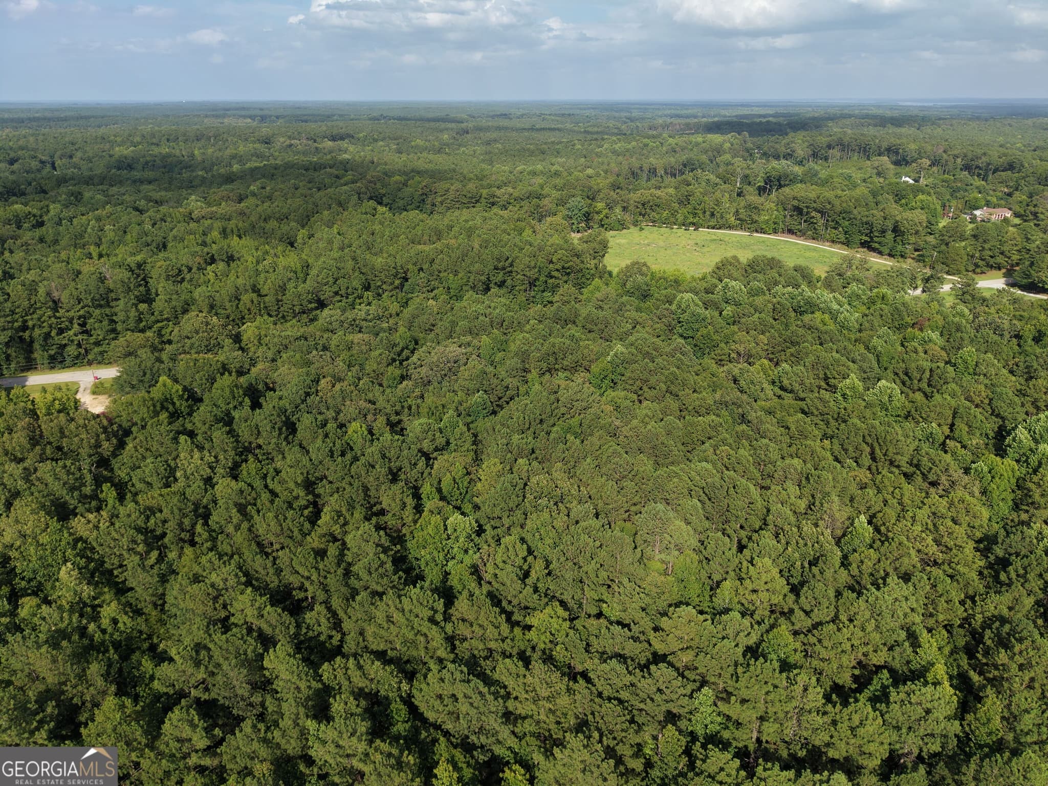 unimproved land for sale at 2250 W Highway 220, Lincolnton, GA 30817 — photo 8
