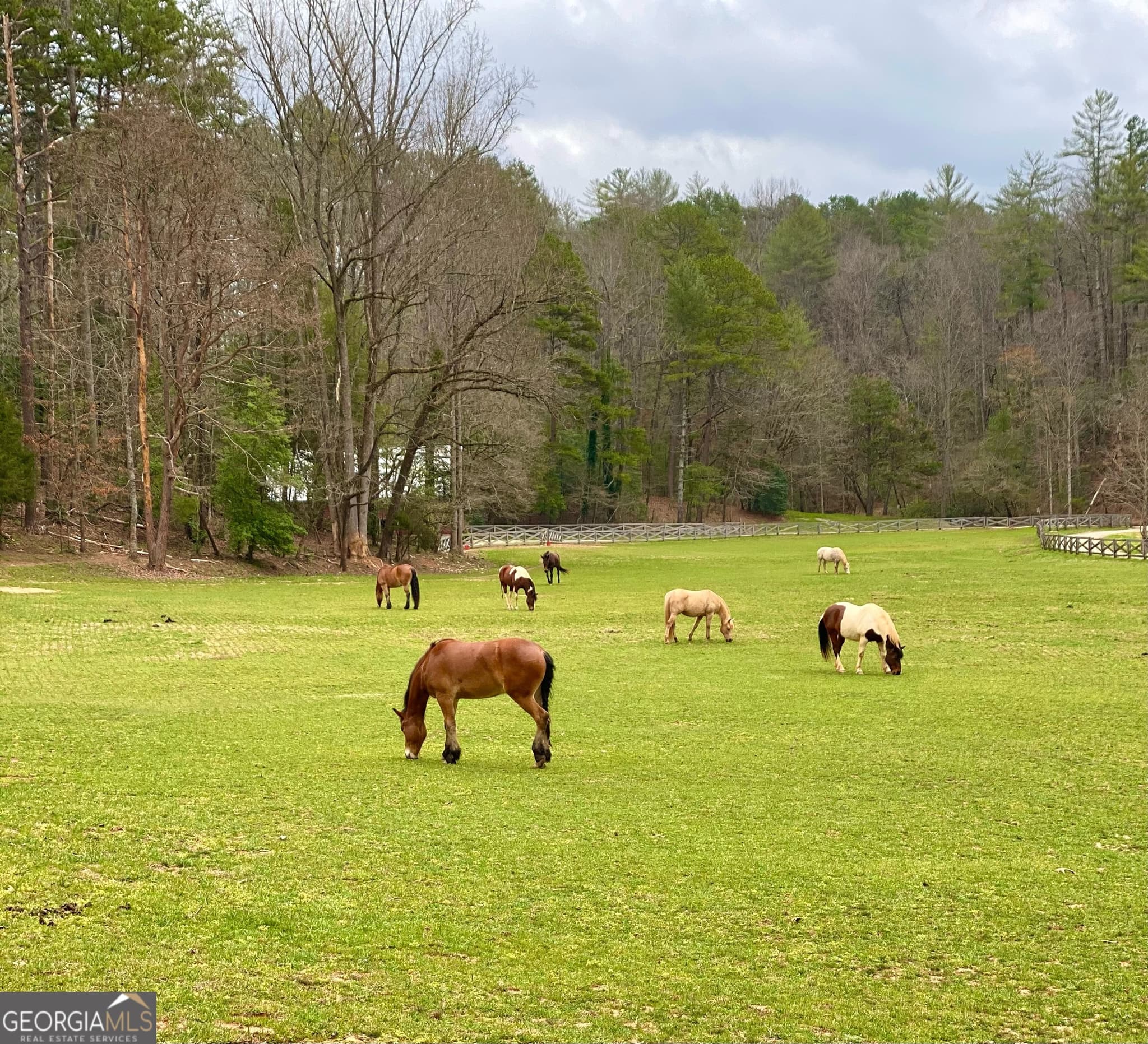 8 bedroom, 7.5 bathroom, 5,585 sq ft farm for sale at 3622 Sandy Ford Road, Clayton, GA 30525 — photo 6