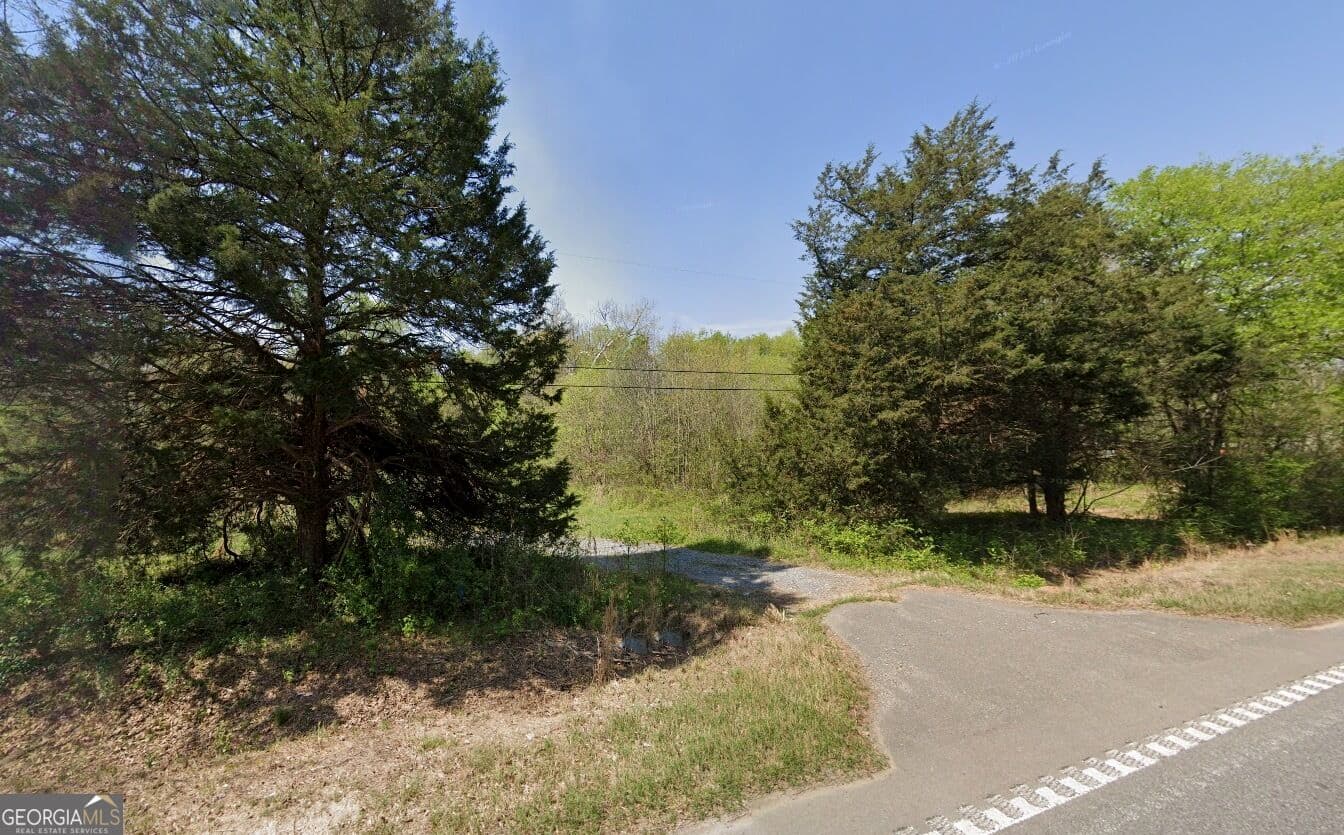 unimproved land for sale at 3275 Rome Highway, Aragon, GA 30104 — photo 2