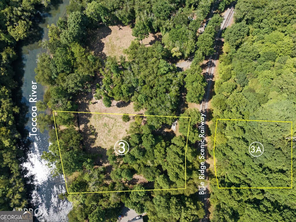 residential lot for sale at 3 Weymans Way, Blue Ridge, GA 30513 — photo 10