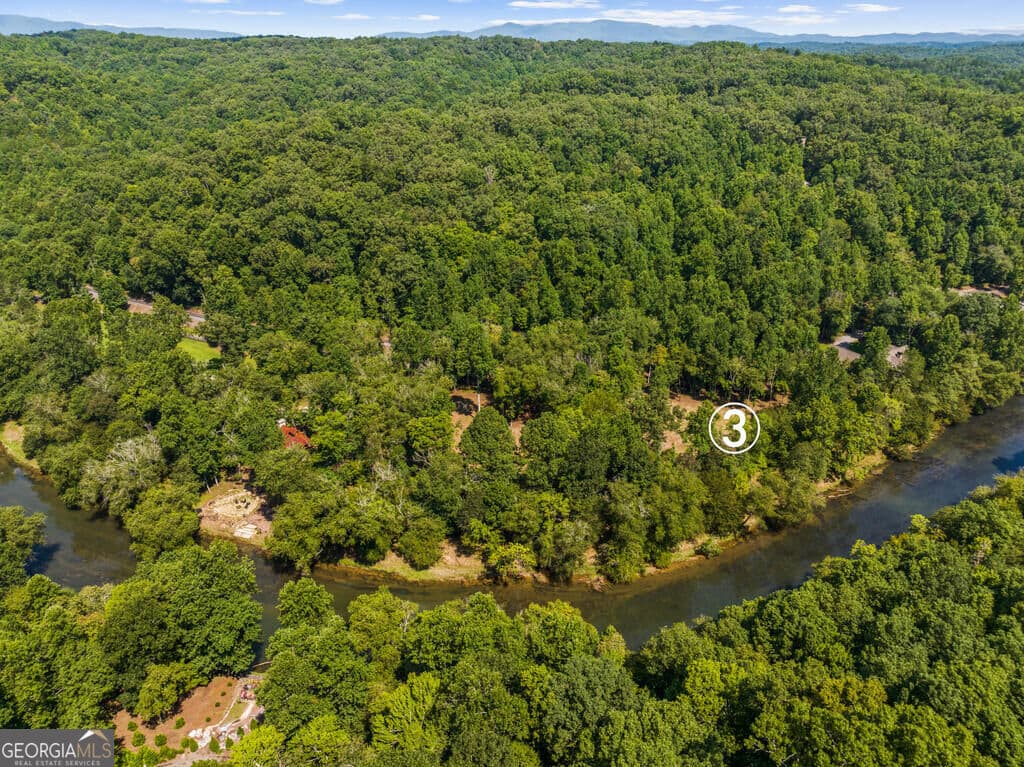 residential lot for sale at 3 Weymans Way, Blue Ridge, GA 30513 — photo 4