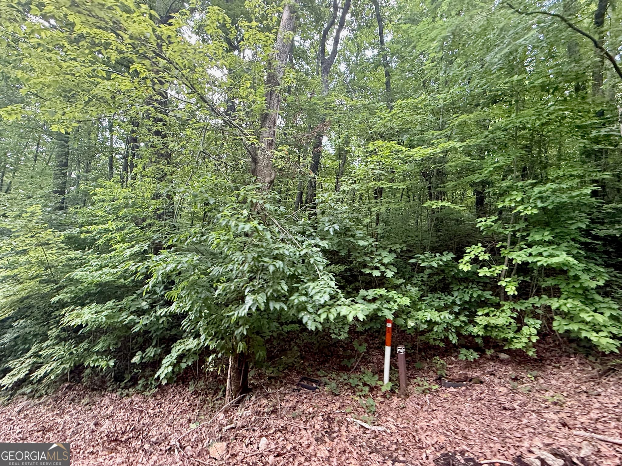 residential lot for sale at 0 Streets of the Overlook at Kingwood, Clayton, GA 30525 — photo 6