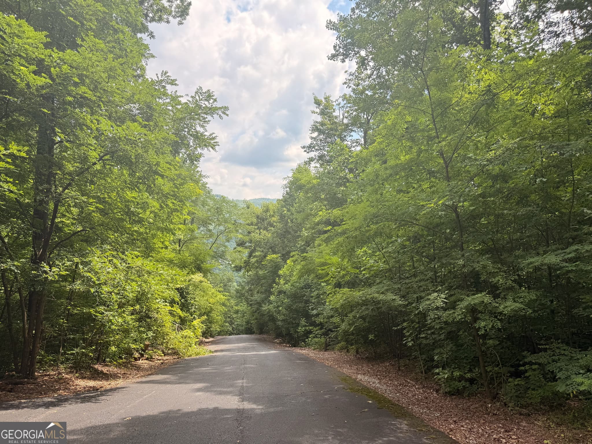 residential lot for sale at 0 Streets of the Overlook at Kingwood, Clayton, GA 30525 — photo 3