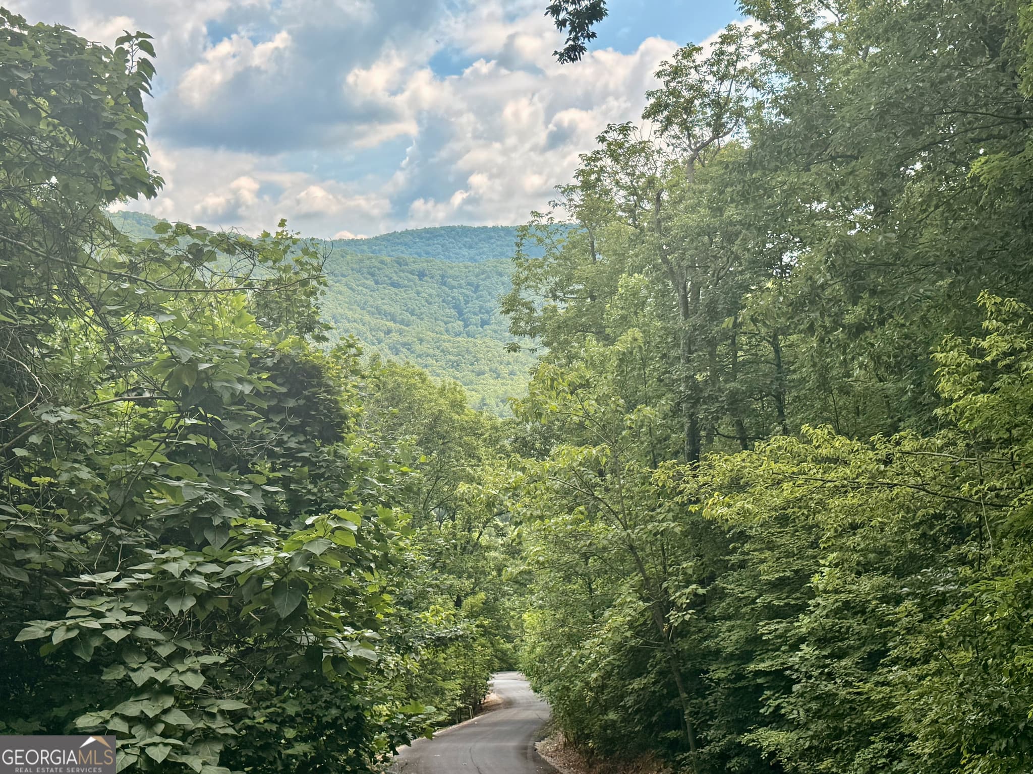 residential lot for sale at 0 Streets of the Overlook at Kingwood, Clayton, GA 30525 — photo 5
