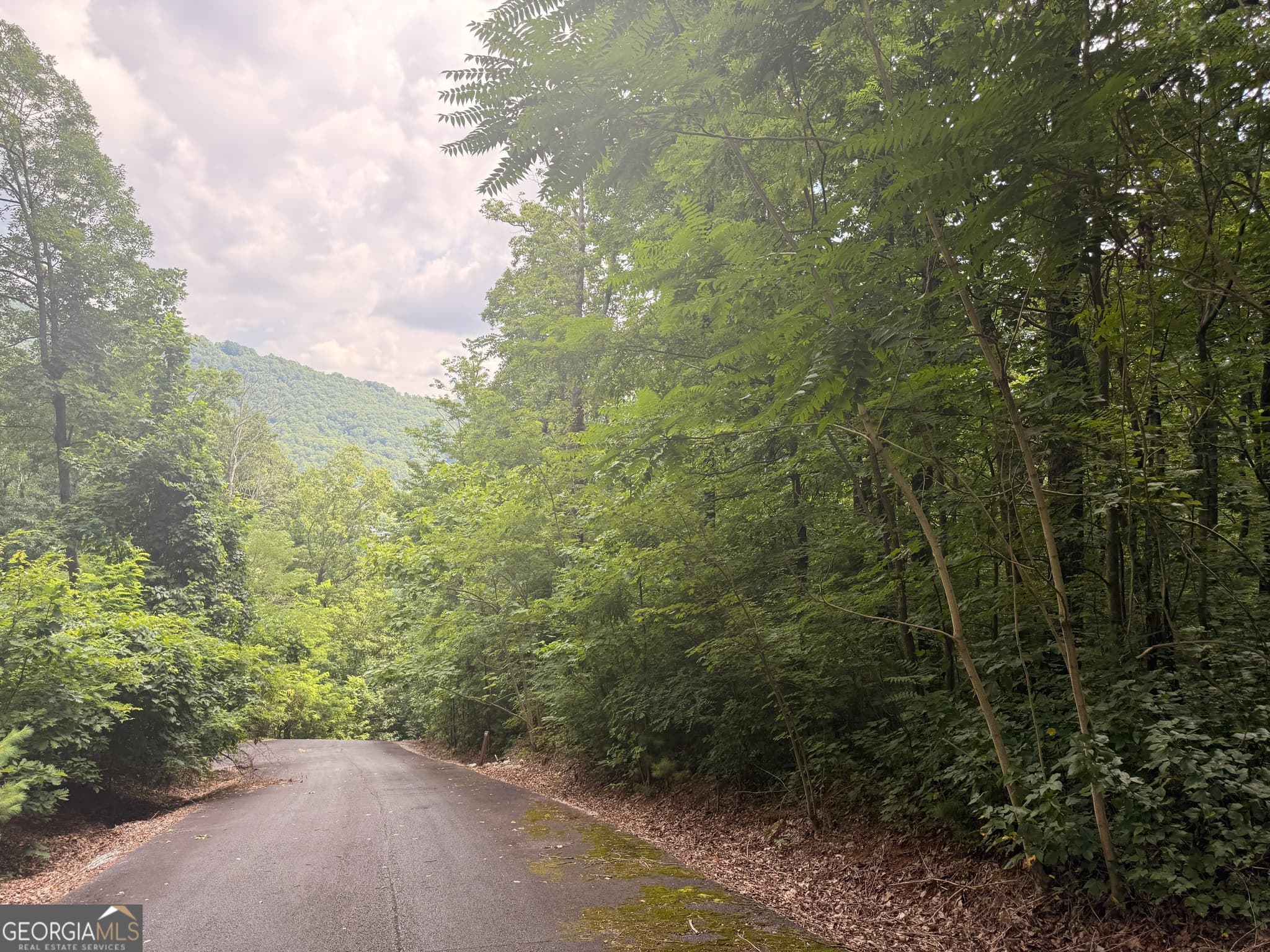 residential lot for sale at 0 Streets of the Overlook at Kingwood, Clayton, GA 30525 — photo 4