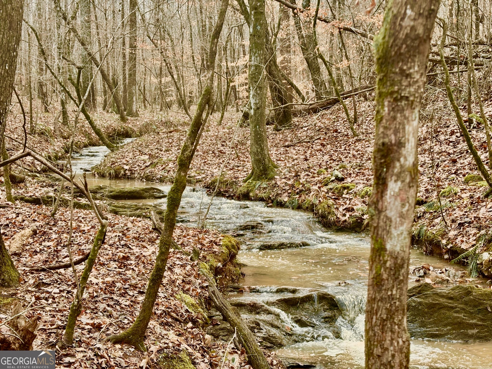 estate lot for sale at 0 Narroway Church Circle LOT #2 (SOUTHERN 38.72 AC, Dallas, GA 30132 — photo 4