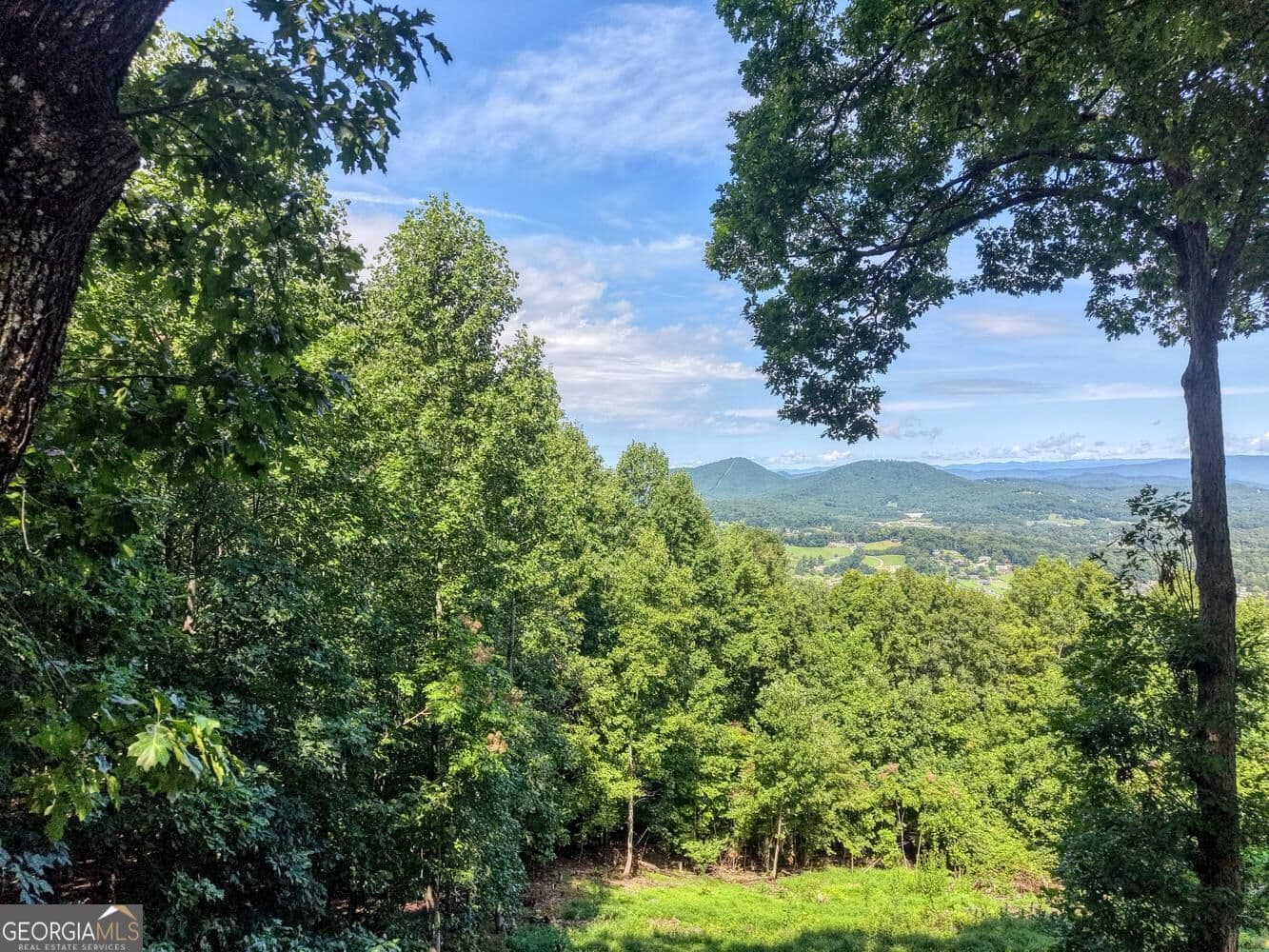 3 bedroom, 3 bathroom, 3,540 sq ft cabin,single family residence for sale at 854 Frog Pond Road, Hiawassee, GA 30546 — photo 3