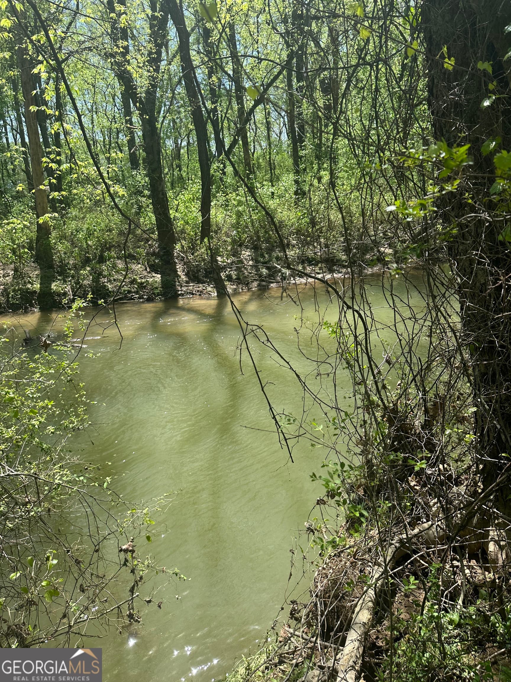 unimproved land for sale at 0 N. 411 Highway, Eton, GA 30705 — photo 6