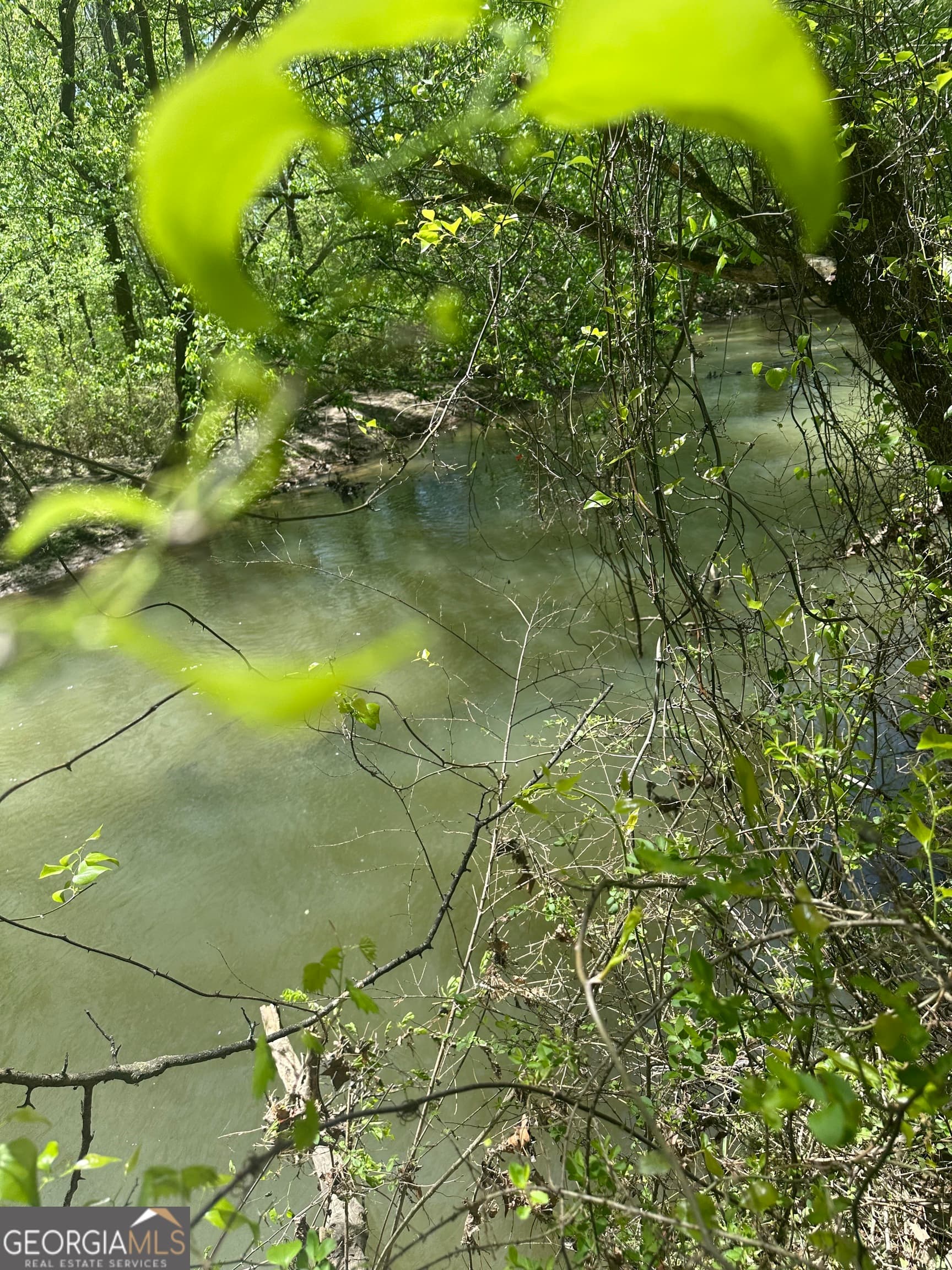 unimproved land for sale at 0 N. 411 Highway, Eton, GA 30705 — photo 7