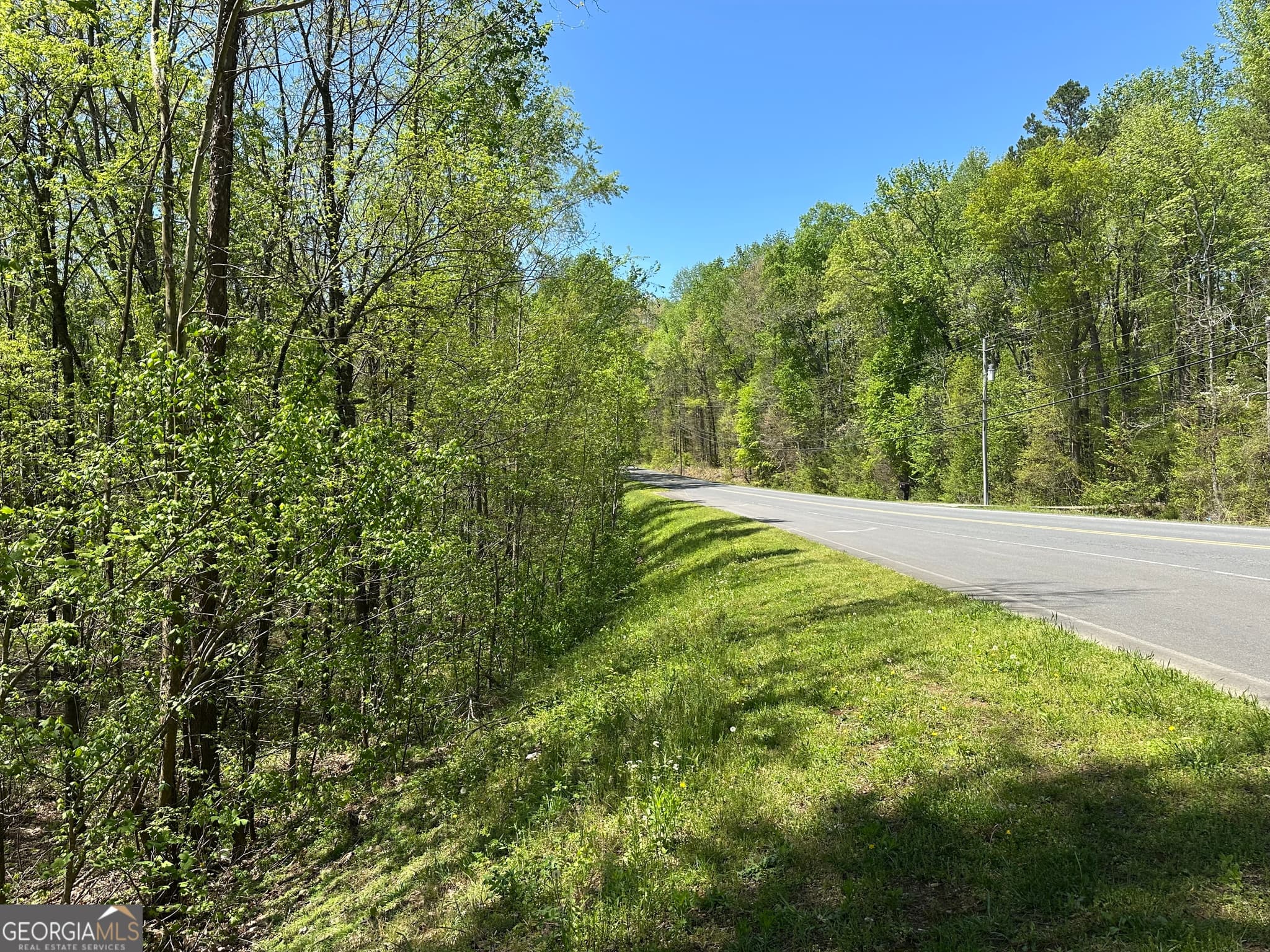 unimproved land for sale at 0 N. 411 Highway, Eton, GA 30705 — photo 3