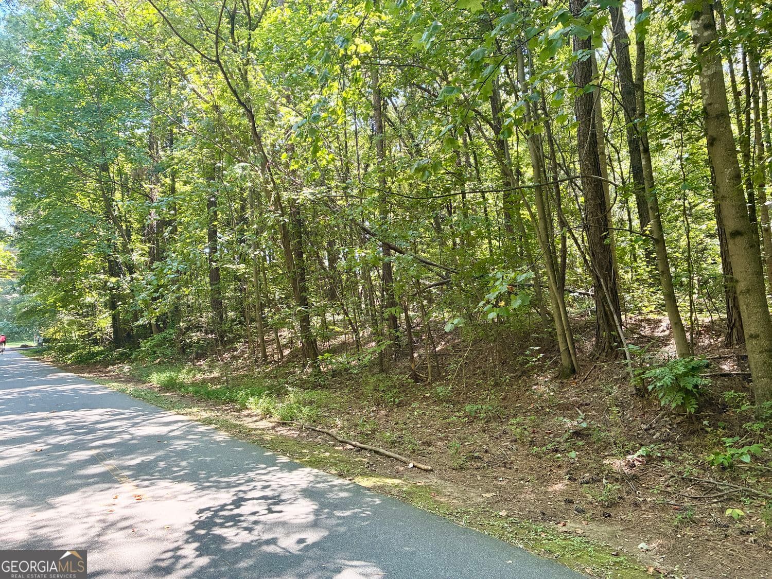 residential lot for sale at 0 New Macland Road, Powder Springs, GA 30127 — photo 4