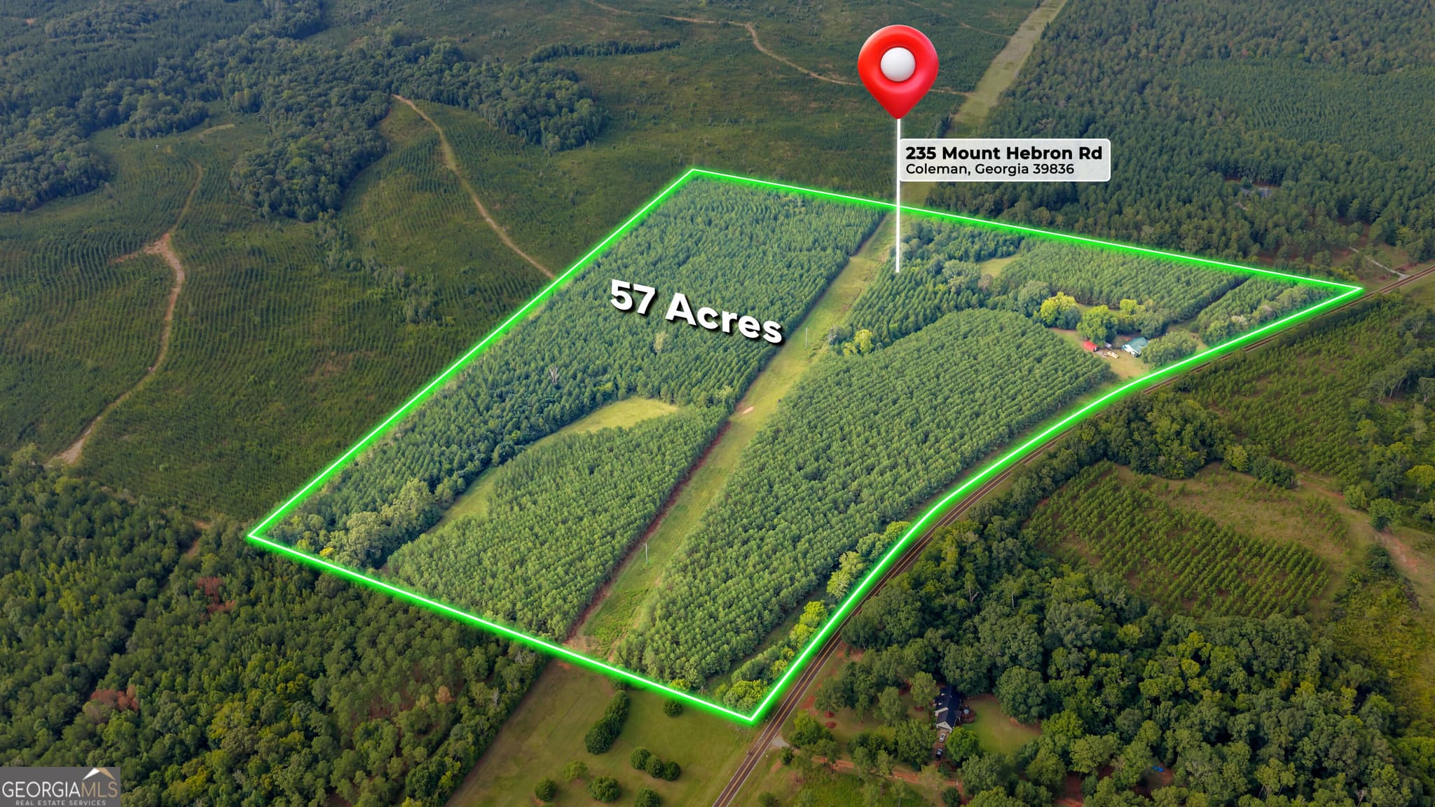 3 bedroom, 1.5 bathroom, 1,637 sq ft single family residence for sale at 235 Mount Hebron Road, Coleman, GA 39836 — photo 2