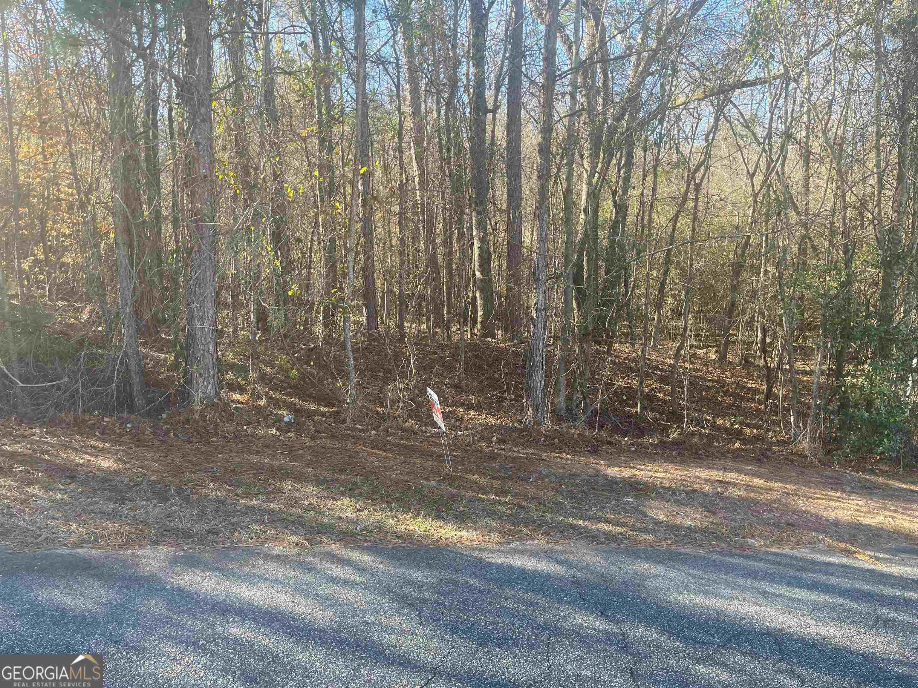 residential lot for sale at 132 Waters Pointe, Lizella, GA 31052 — photo 5