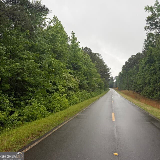 agriculture for sale at 145 +/- ACRES George Smith Road, Talbotton, GA 31827 — photo 2