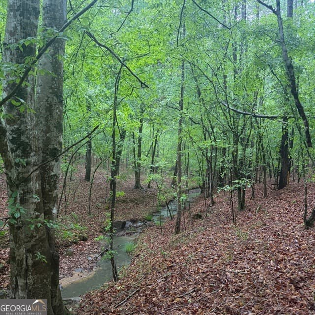 agriculture for sale at 145 +/- ACRES George Smith Road, Talbotton, GA 31827 — photo 6