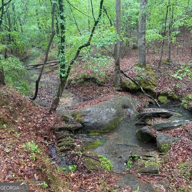 agriculture for sale at 145 +/- ACRES George Smith Road, Talbotton, GA 31827 — photo 7