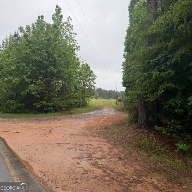agriculture for sale at 145 +/- ACRES George Smith Road, Talbotton, GA 31827 — photo 3