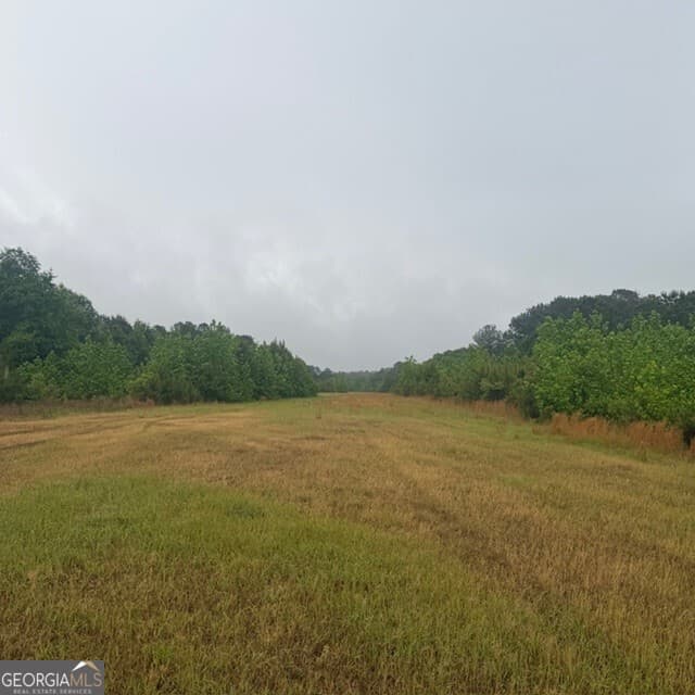 agriculture for sale at 145 +/- ACRES George Smith Road, Talbotton, GA 31827 — photo 1 of 36