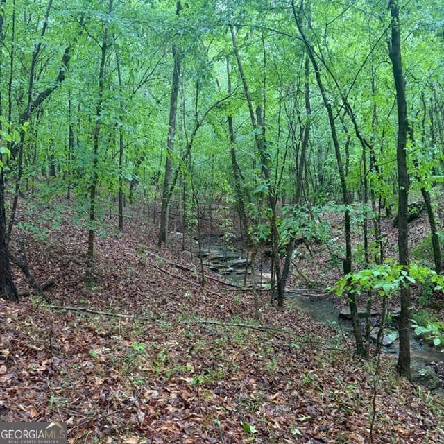agriculture for sale at 145 +/- ACRES George Smith Road, Talbotton, GA 31827 — photo 5