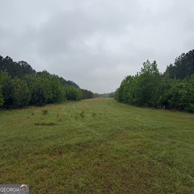 agriculture for sale at 145 +/- ACRES George Smith Road, Talbotton, GA 31827 — photo 9