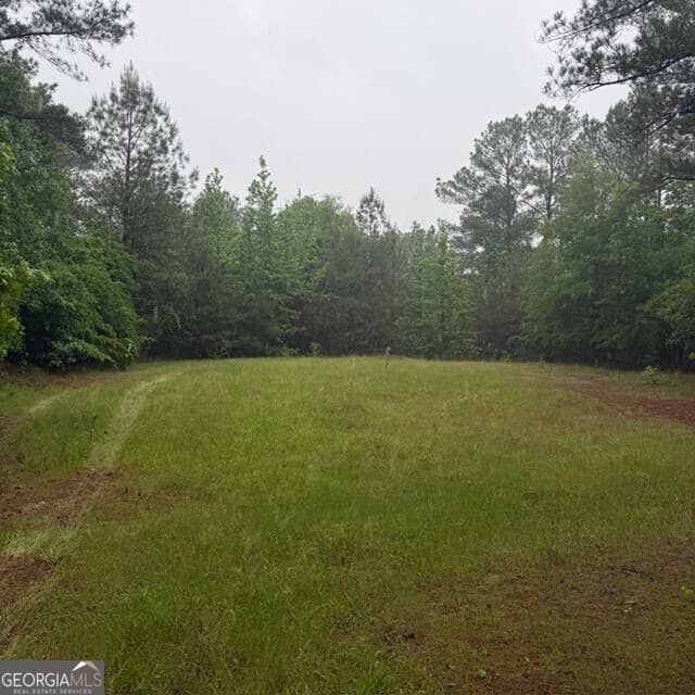 agriculture for sale at 145 +/- ACRES George Smith Road, Talbotton, GA 31827 — photo 10