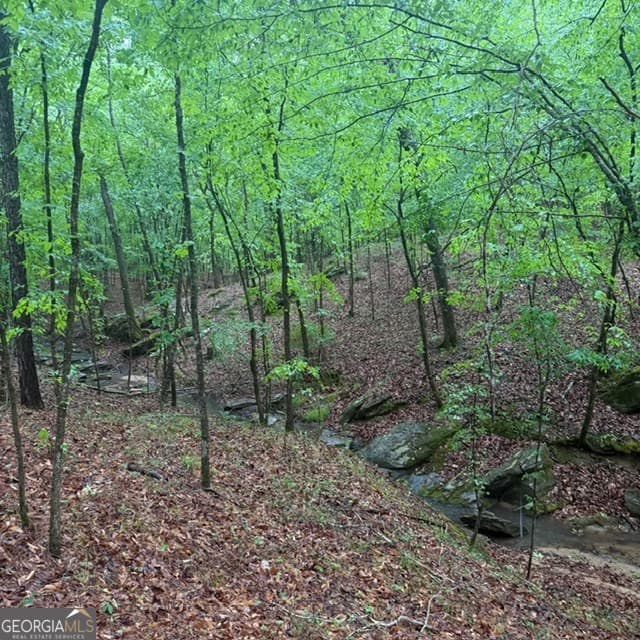 agriculture for sale at 145 +/- ACRES George Smith Road, Talbotton, GA 31827 — photo 4