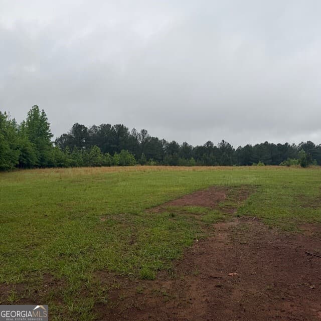agriculture for sale at 145 +/- ACRES George Smith Road, Talbotton, GA 31827 — photo 8