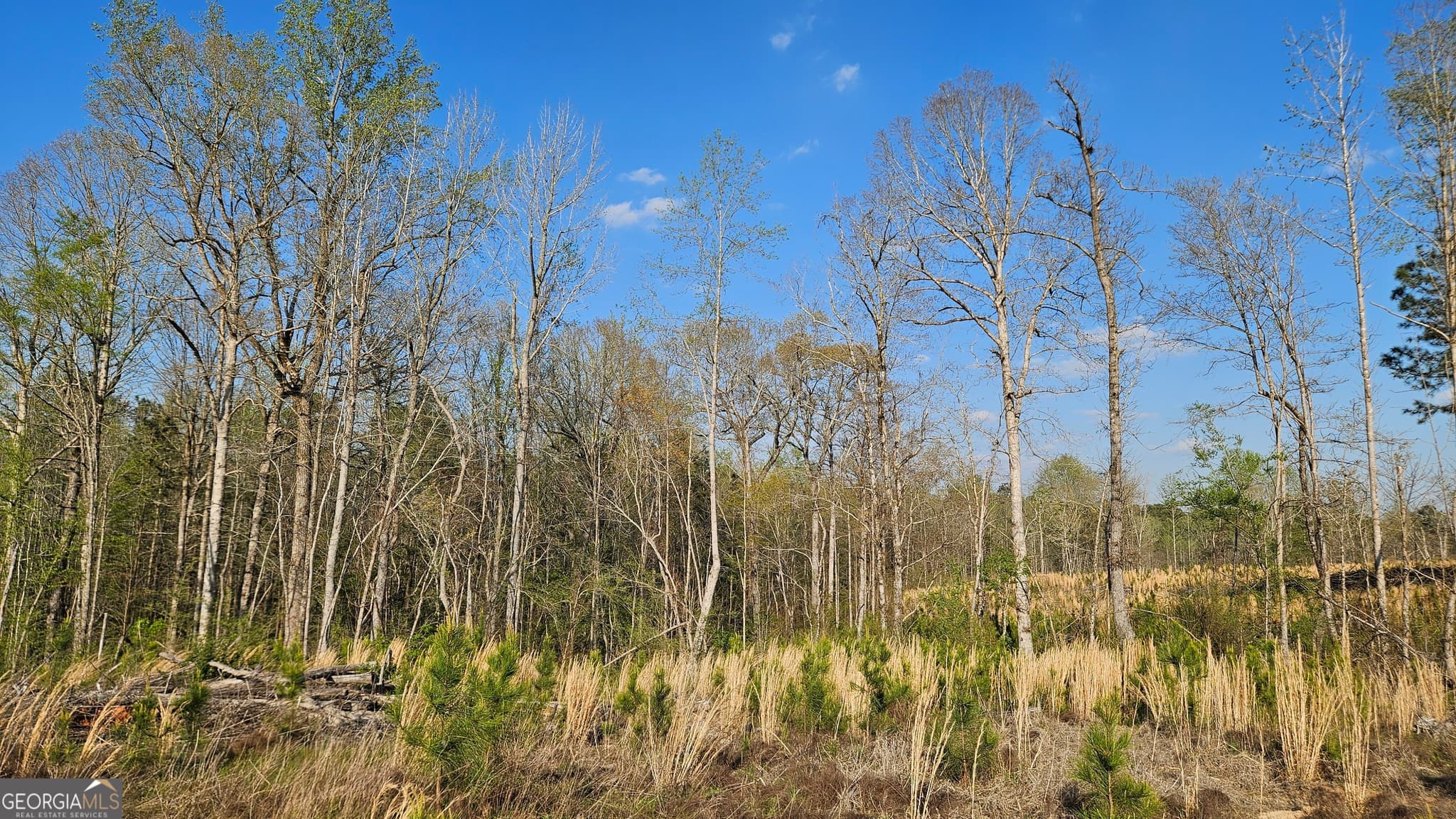 agriculture for sale at 0 Hwy 15, Greensboro, GA 30642 — photo 6
