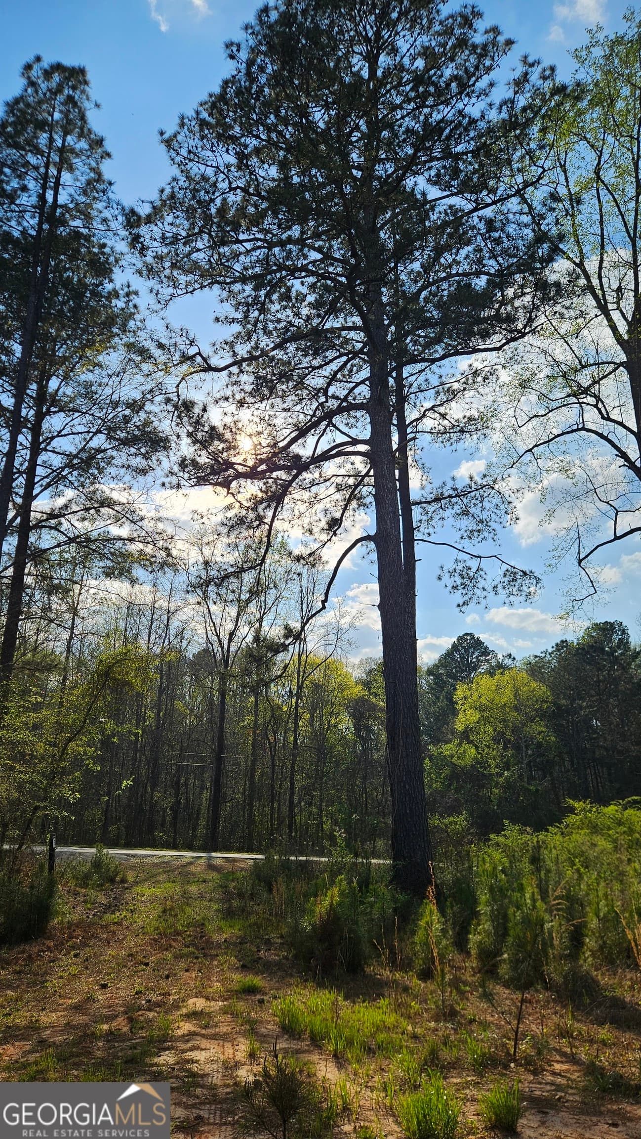 agriculture for sale at 0 Hwy 15, Greensboro, GA 30642