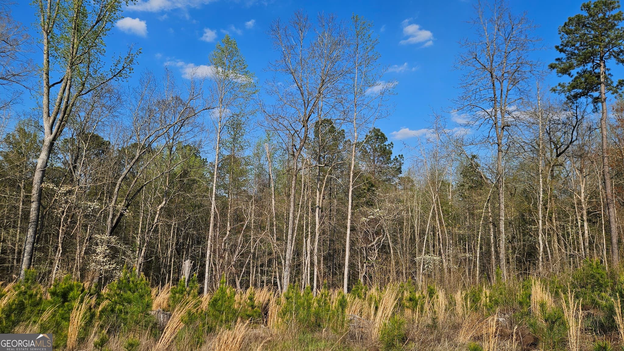agriculture for sale at 0 Hwy 15, Greensboro, GA 30642 — photo 9