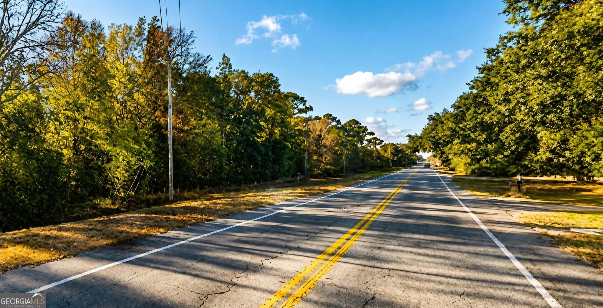 unimproved land for sale at 0 Vada Road, Bainbridge, GA 39817 — photo 2