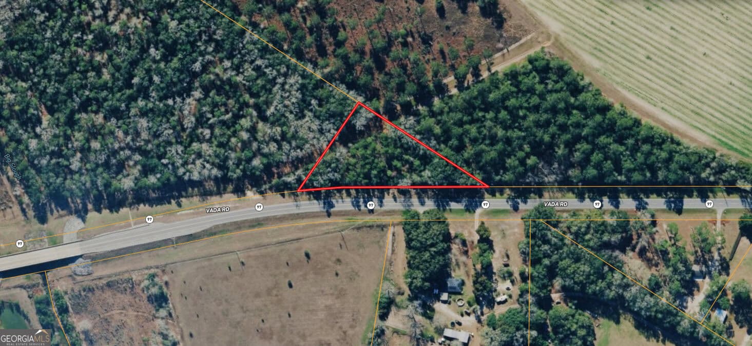 unimproved land for sale at 0 Vada Road, Bainbridge, GA 39817 — photo 6
