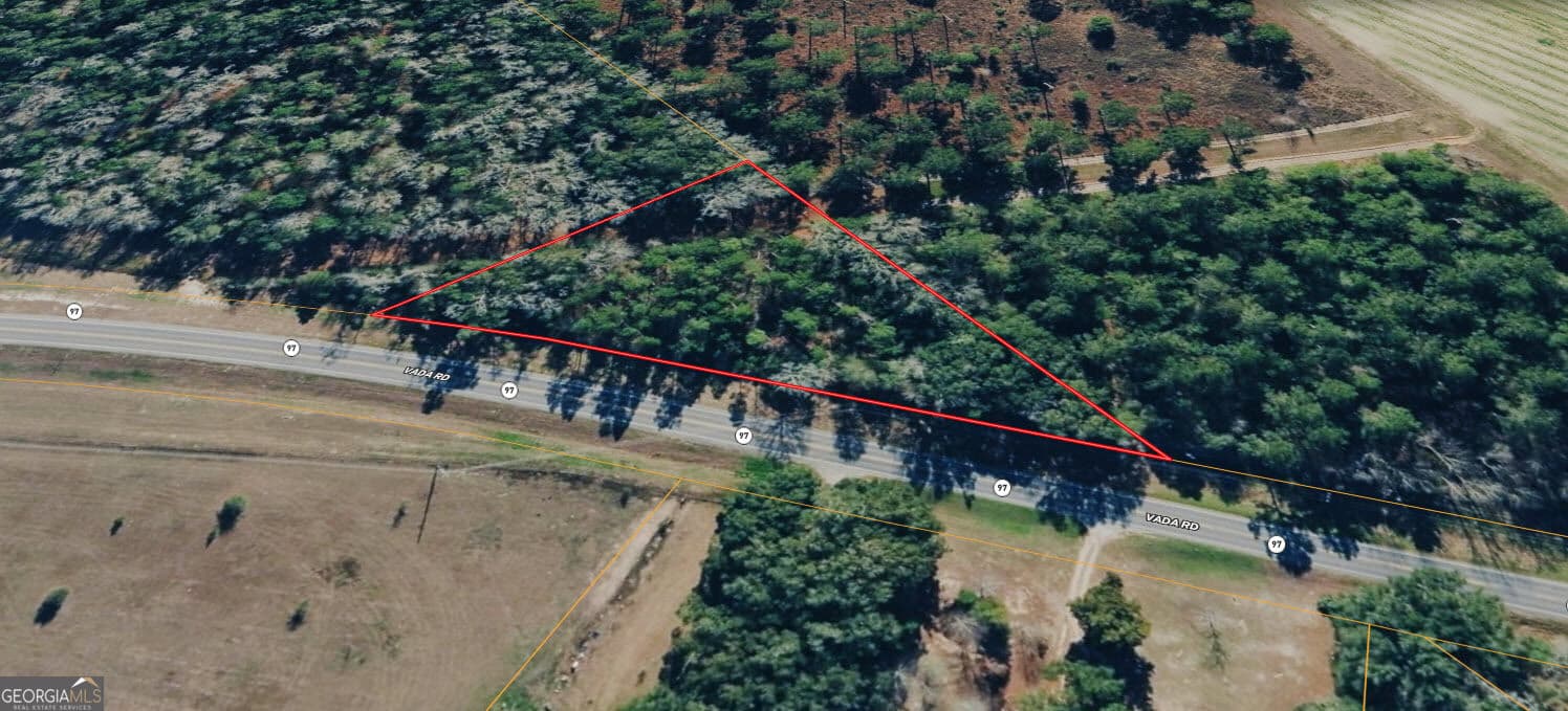 unimproved land for sale at 0 Vada Road, Bainbridge, GA 39817 — photo 7