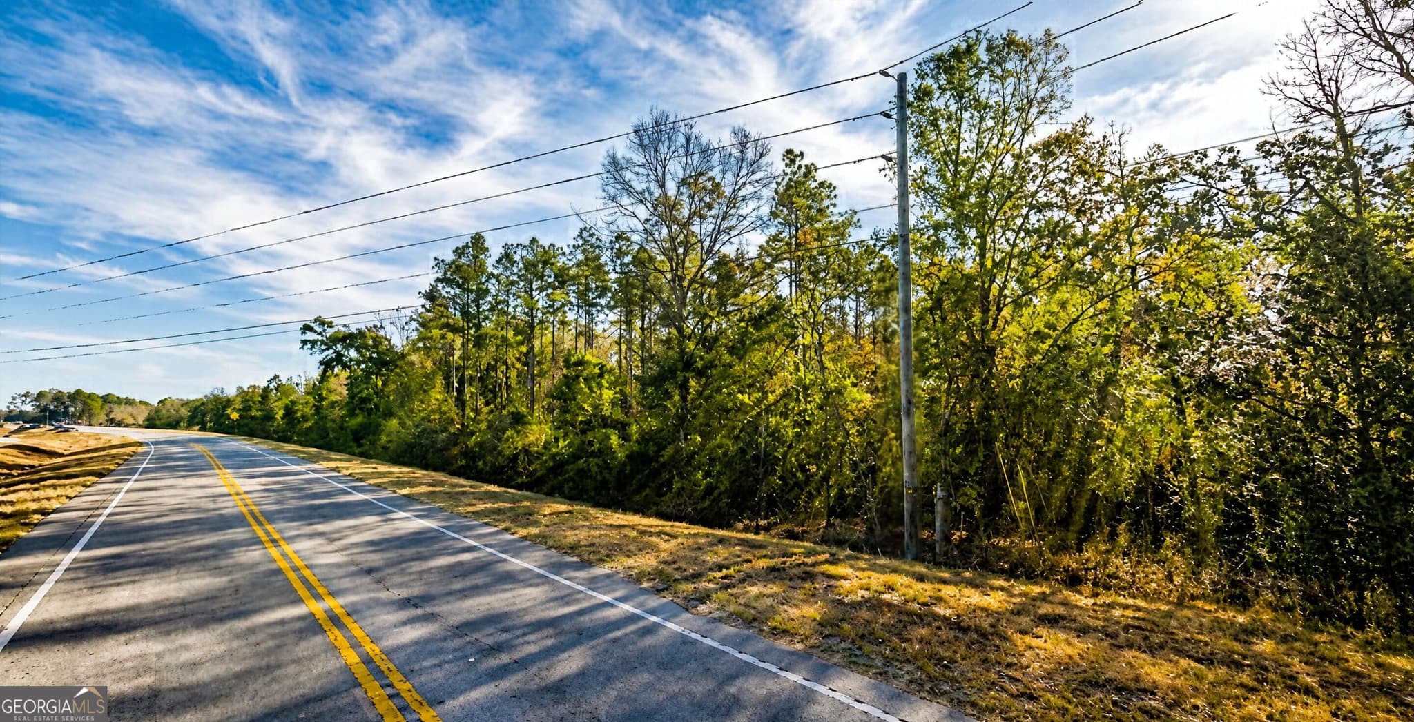 unimproved land for sale at 0 Vada Road, Bainbridge, GA 39817 — photo 3