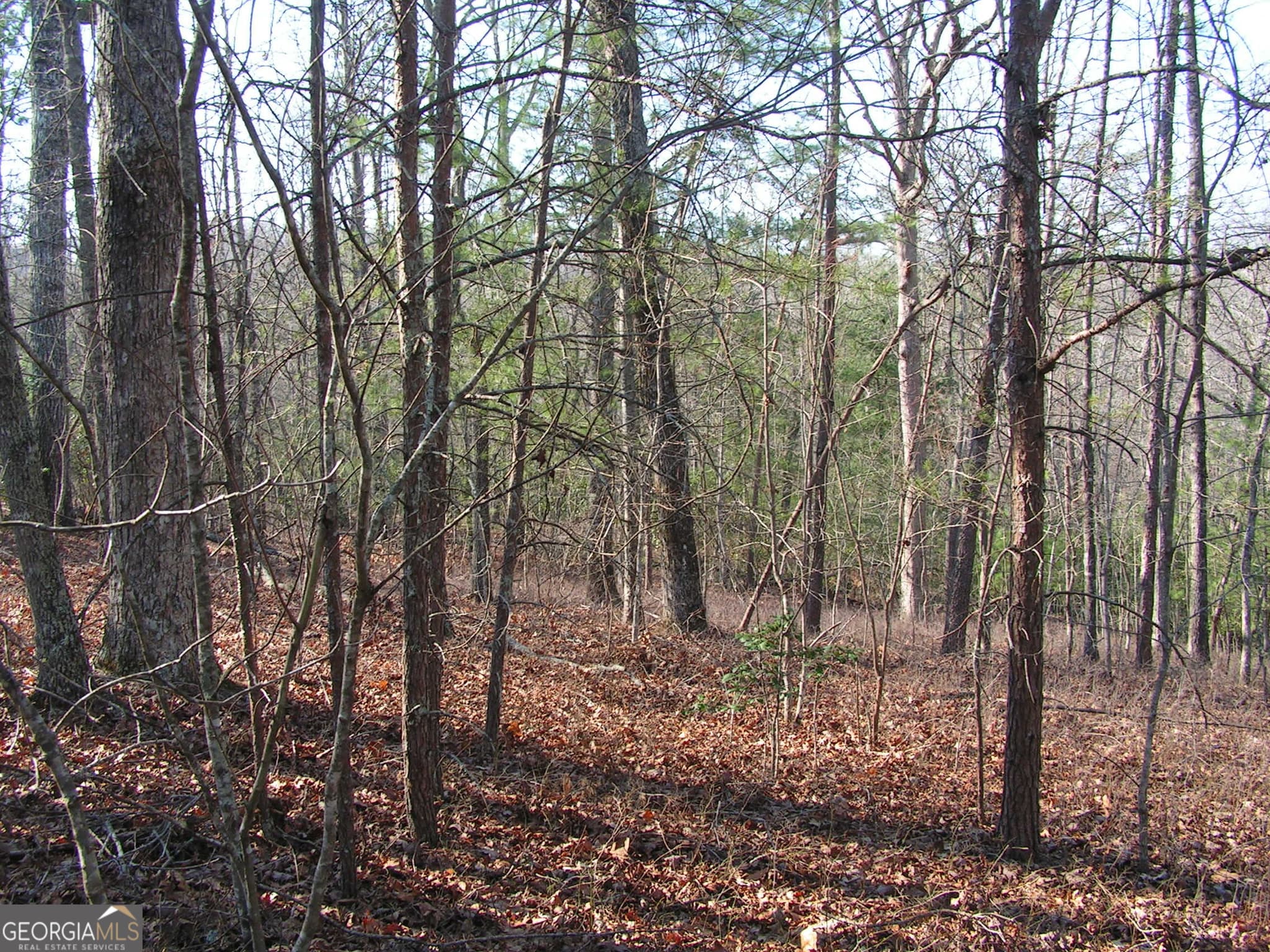 unimproved land for sale at 0 Mount Pleasant Church Road, Cleveland, GA 30528 — photo 2