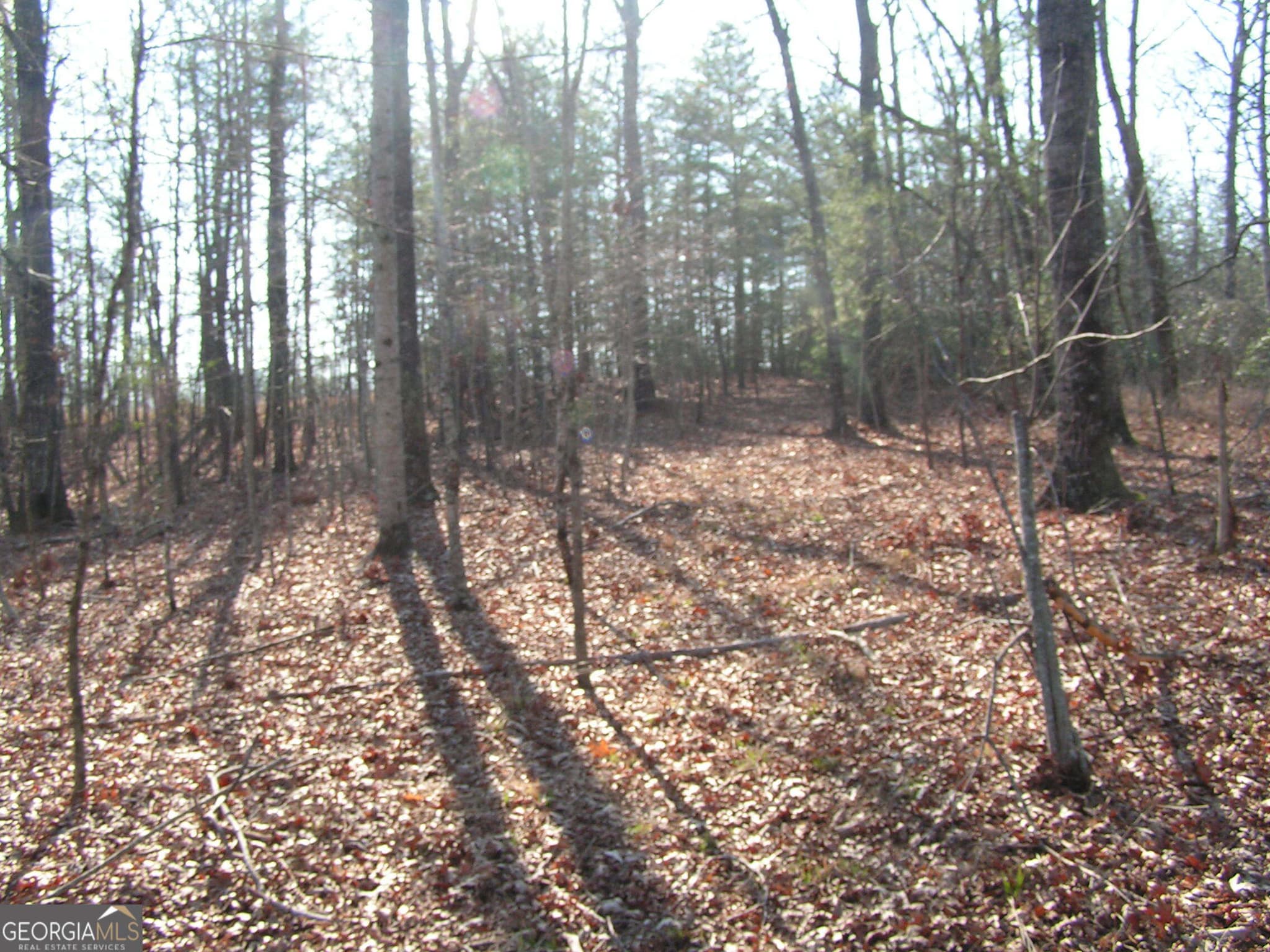 unimproved land for sale at 0 Mount Pleasant Church Road, Cleveland, GA 30528 — photo 6