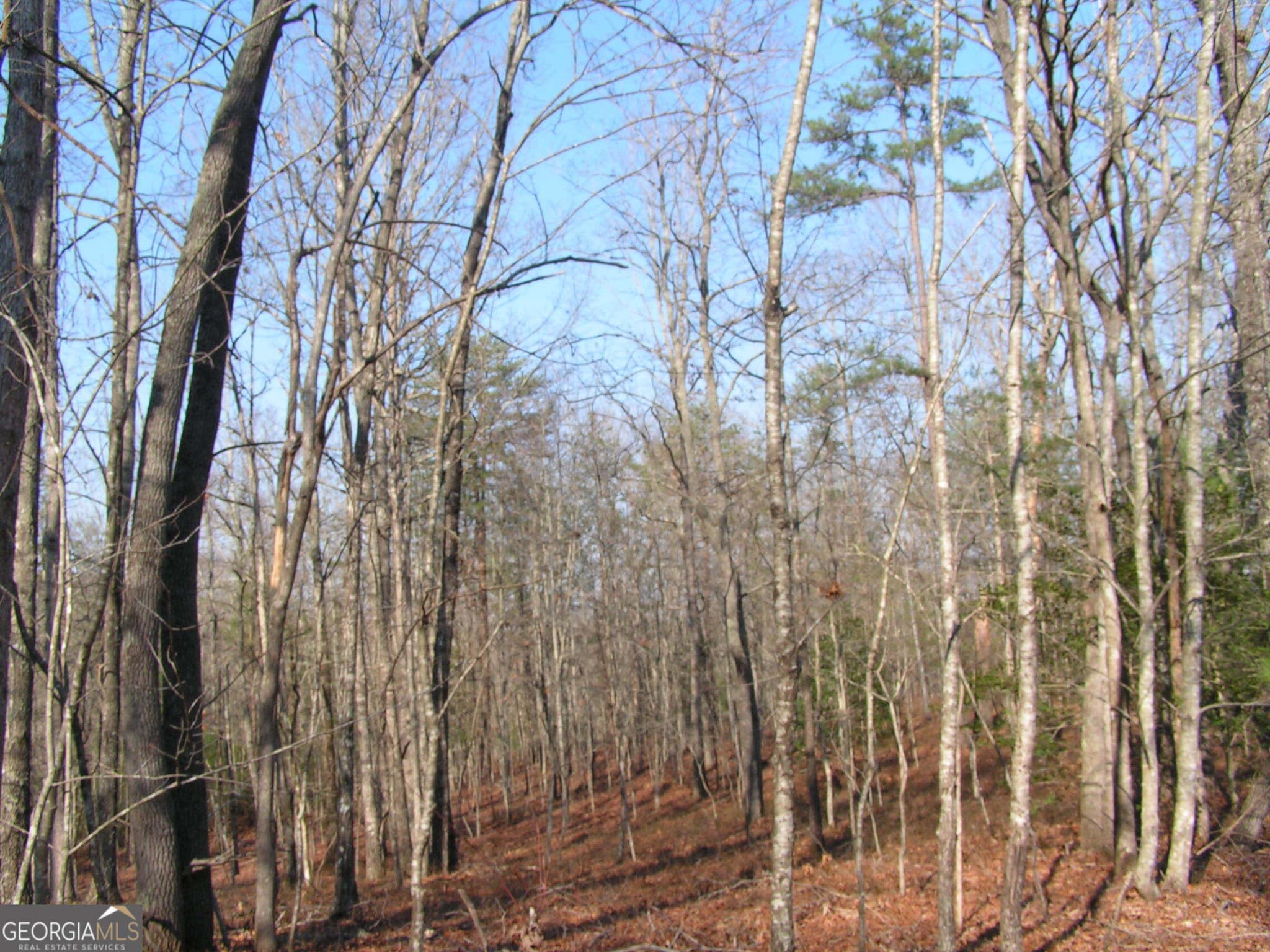 unimproved land for sale at 0 Mount Pleasant Church Road, Cleveland, GA 30528 — photo 7